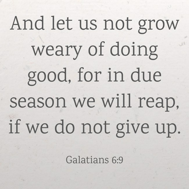 And let us not grow weary of doing good, for in due season we will reap, if we do not give up. - Galatians 6:9