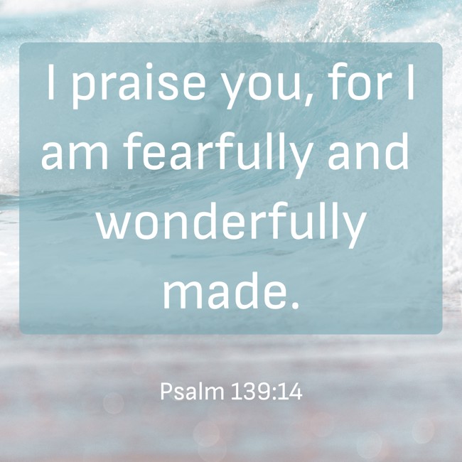 I praise you, for I am fearfully and wonderfully made. - Psalm 139:14