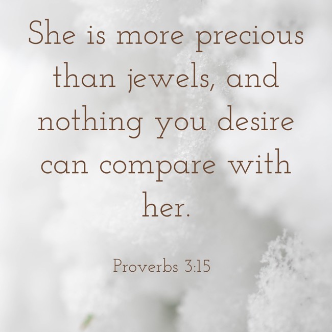 She is more precious than jewels, and nothing you desire can compare with her. - Proverbs 3:15