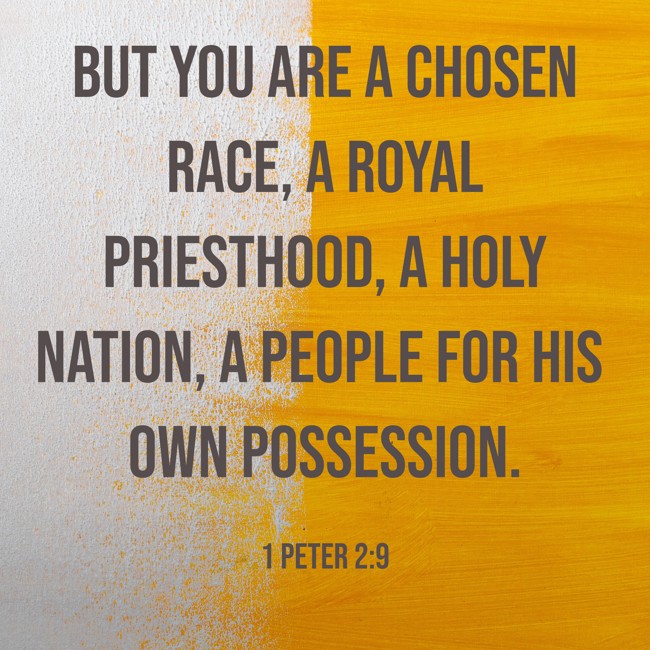 But you are a chosen race, a royal priesthood, a holy nation, a people for his own possession. - 1 Peter 2:9
