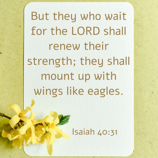 But they who wait for the LORD shall renew their strength; they shall mount up with wings like eagles. - Isaiah 40:31