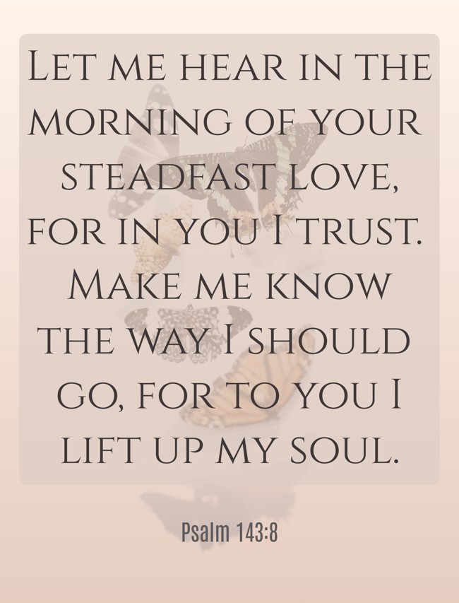 Let me hear in the morning of your steadfast love, for in you I trust. Make me know the way I should go, for to you I lift up my soul. - Psalm 143:8