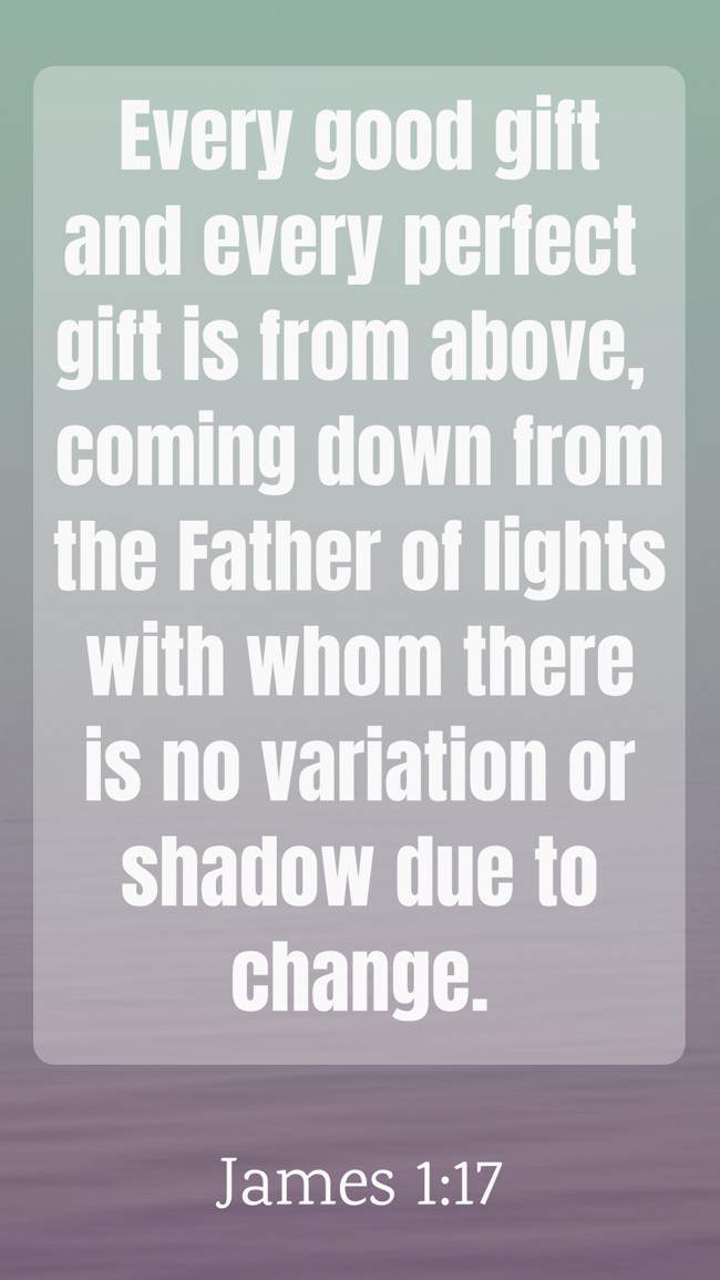 Every good gift and every perfect gift is from above, coming down from the Father of lights with whom there is no variation or shadow due to change. - James 1:17