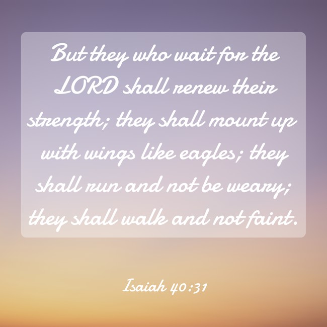 But they who wait for the LORD shall renew their strength; they shall mount up with wings like eagles; they shall run and not be weary; they shall walk and not faint. - Isaiah 40:31