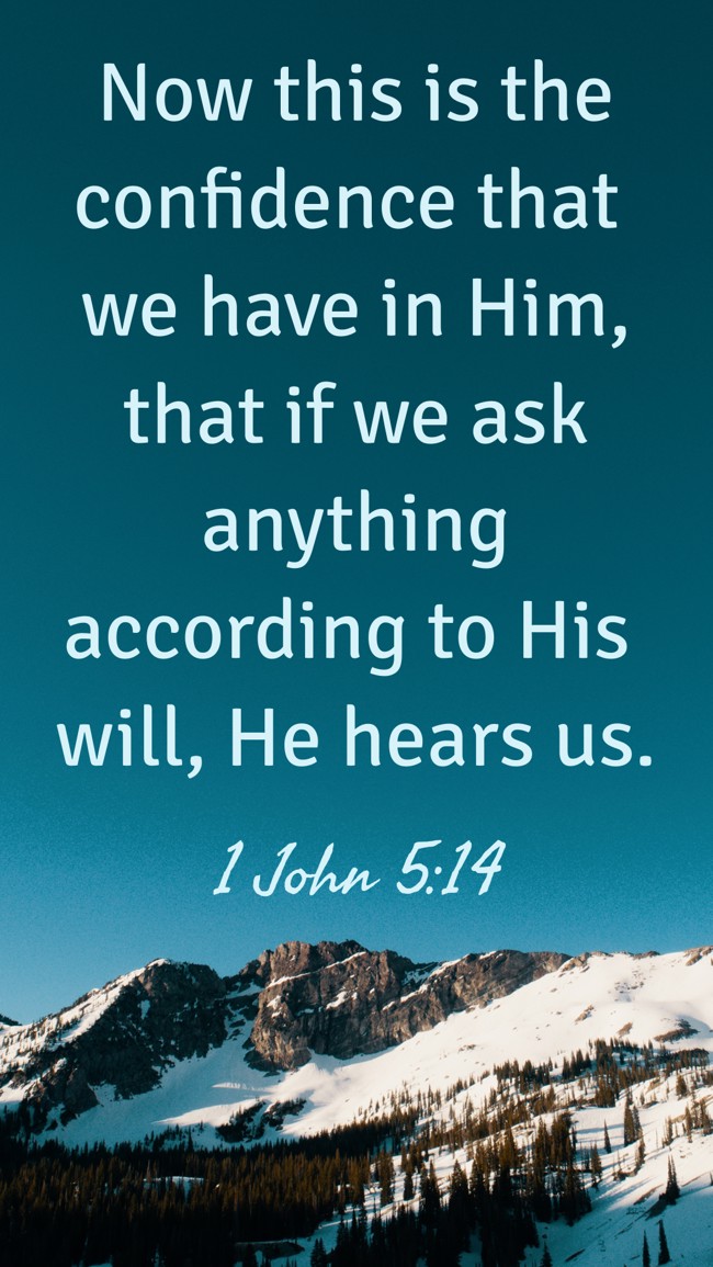 Now this is the confidence that we have in Him, that if we ask anything according to His will, He hears us. - 1 John 5:14