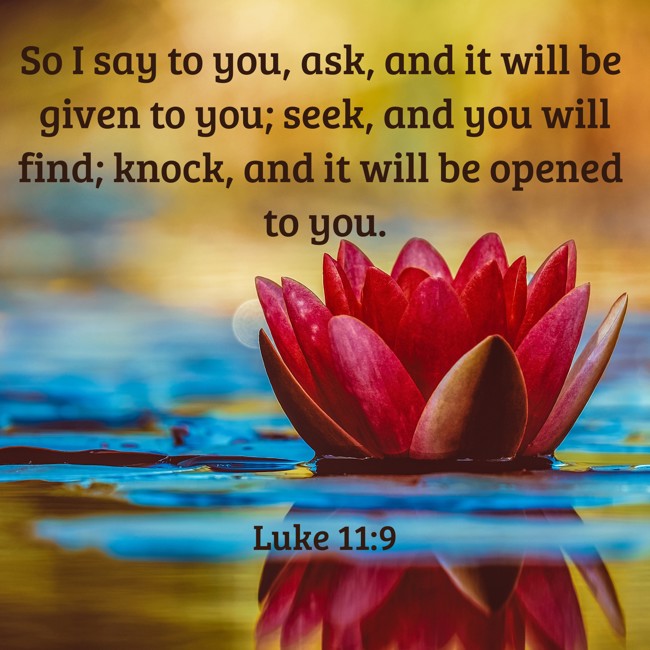 So I say to you, ask, and it will be given to you; seek, and you will find; knock, and it will be opened to you. - Luke 11:9