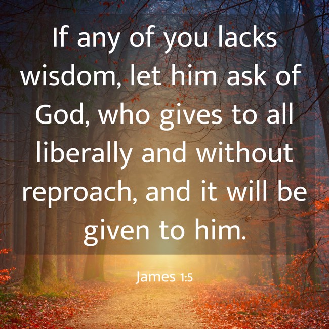 If any of you lacks wisdom, let him ask of God, who gives to all liberally and without reproach, and it will be given to him. - James 1:5