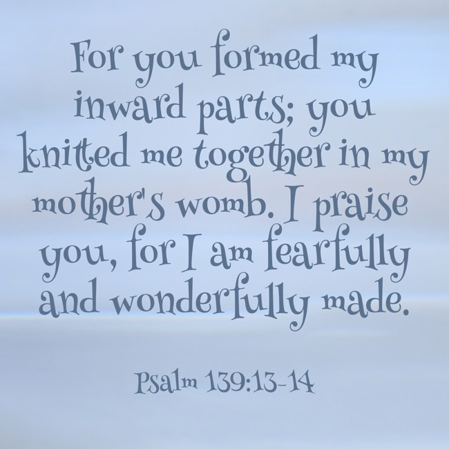 For you formed my inward parts; you knitted me together in my mother's womb. I praise you, for I am fearfully and wonderfully made. - Psalm 139:13-14