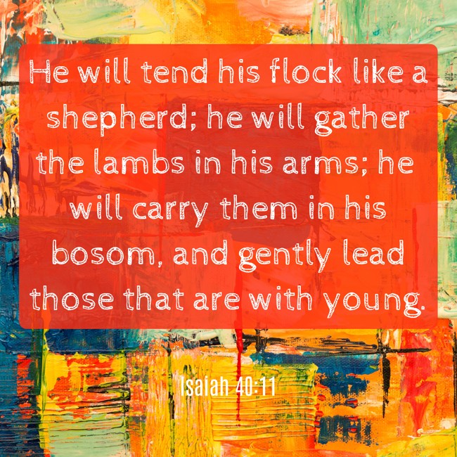 He will tend his flock like a shepherd; he will gather the lambs in his arms; he will carry them in his bosom, and gently lead those that are with young. - Isaiah 40:11