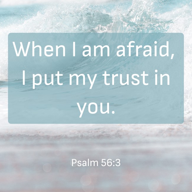 When I am afraid, I put my trust in you. - Psalm 56:3