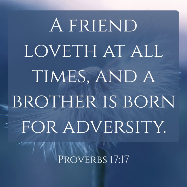 A friend loveth at all times, and a brother is born for adversity. - Proverbs 17:17
