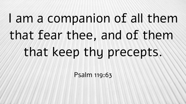 I am a companion of all them that fear thee, and of them that keep thy precepts. - Psalm 119:63