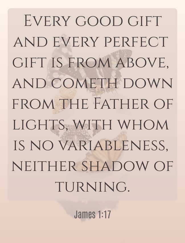 Every good gift and every perfect gift is from above, and cometh down from the Father of lights, with whom is no variableness, neither shadow of turning. - James 1:17