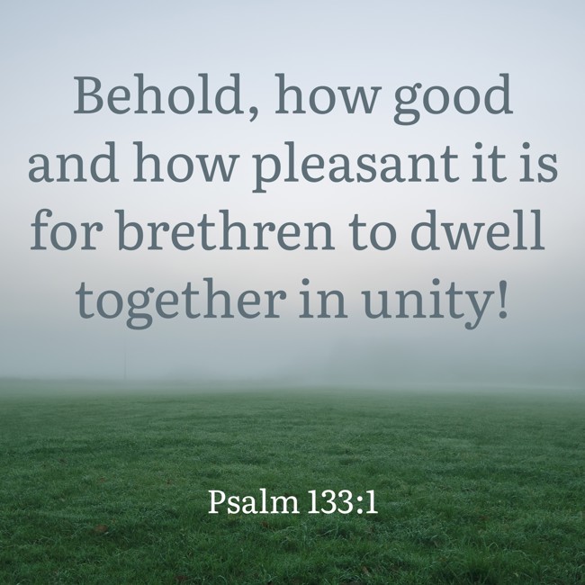 Behold, how good and how pleasant it is for brethren to dwell together in unity! - Psalm 133:1