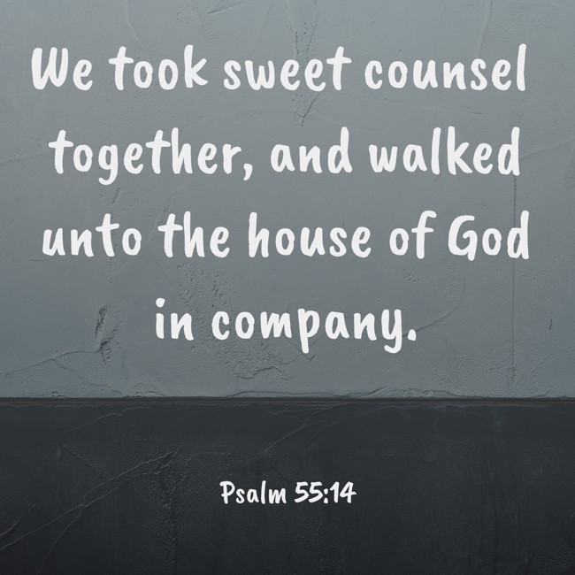 We took sweet counsel together, and walked unto the house of God in company. - Psalm 55:14
