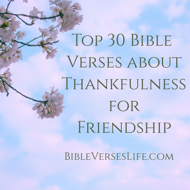 Top 30 Bible Verses about Thankfulness for Friendship