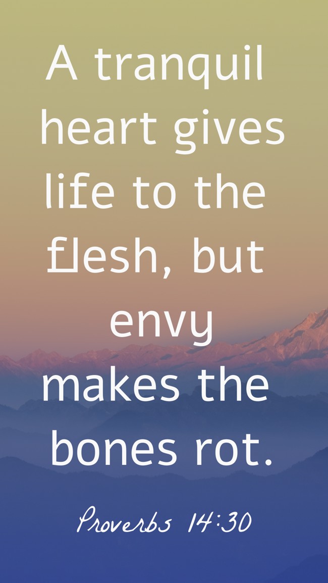 A tranquil heart gives life to the flesh, but envy makes the bones rot. - Proverbs 14:30