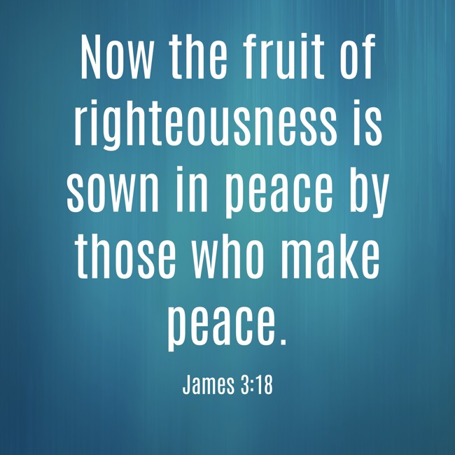 Now the fruit of righteousness is sown in peace by those who make peace. - James 3:18