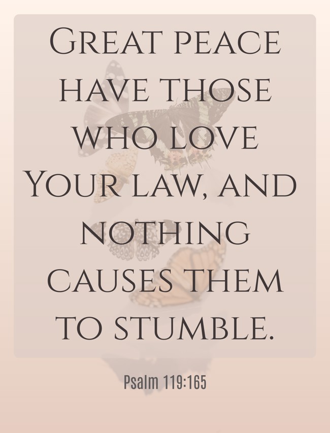 Great peace have those who love Your law, and nothing causes them to stumble. - Psalm 119:165