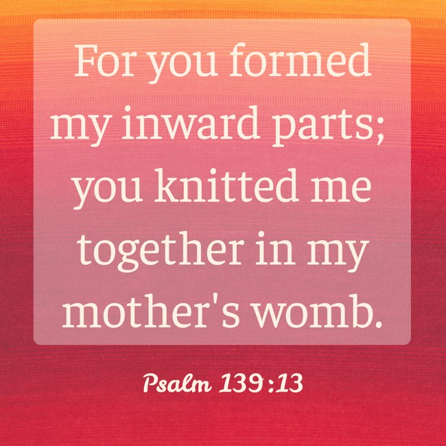 For you formed my inward parts; you knitted me together in my mother's womb. - Psalm 139:13
