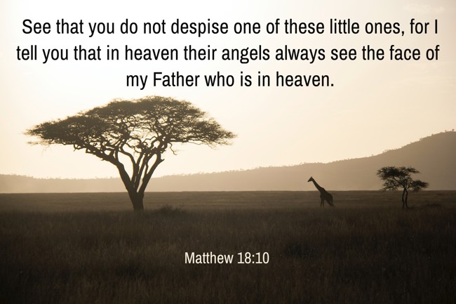 See that you do not despise one of these little ones, for I tell you that in heaven their angels always see the face of my Father who is in heaven. - Matthew 18:10