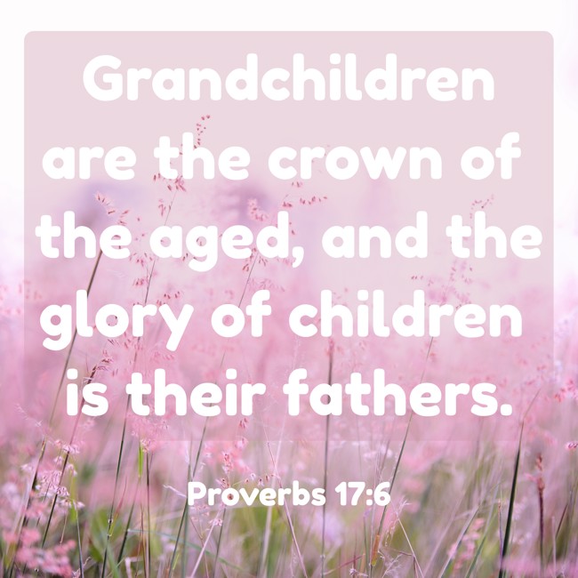 Grandchildren are the crown of the aged, and the glory of children is their fathers. - Proverbs 17:6