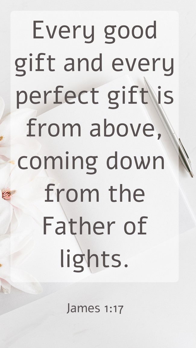 Every good gift and every perfect gift is from above, coming down from the Father of lights. - James 1:17