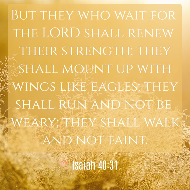 But they who wait for the LORD shall renew their strength; they shall mount up with wings like eagles; they shall run and not be weary; they shall walk and not faint. - Isaiah 40:31