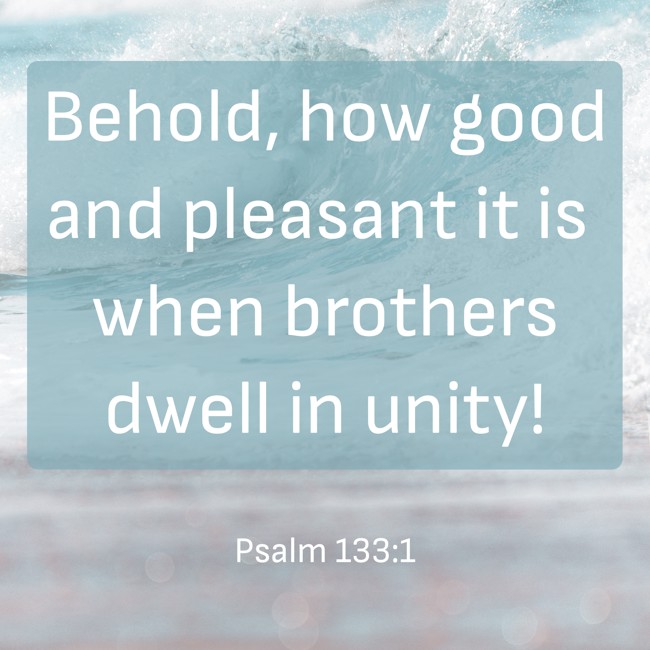 Behold, how good and pleasant it is when brothers dwell in unity! - Psalm 133:1