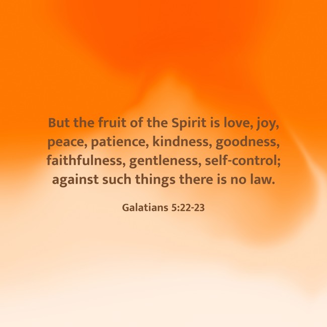 But the fruit of the Spirit is love, joy, peace, patience, kindness, goodness, faithfulness, gentleness, self-control; against such things there is no law. - Galatians 5:22-23