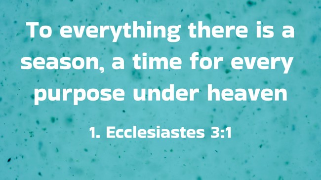 To everything there is a season, a time for every purpose under heaven - 1. Ecclesiastes 3:1