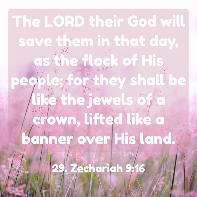 The LORD their God will save them in that day, as the flock of His people; for they shall be like the jewels of a crown, lifted like a banner over His land. - 29. Zechariah 9:16