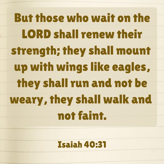 But those who wait on the LORD shall renew their strength; they shall mount up with wings like eagles, they shall run and not be weary, they shall walk and not faint. - Isaiah 40:31