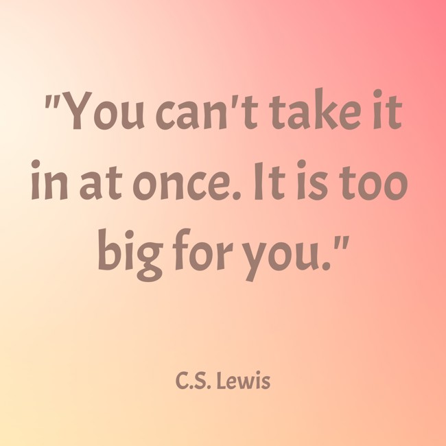 You can't take it in at once. It is too big for you. - C.S. Lewis