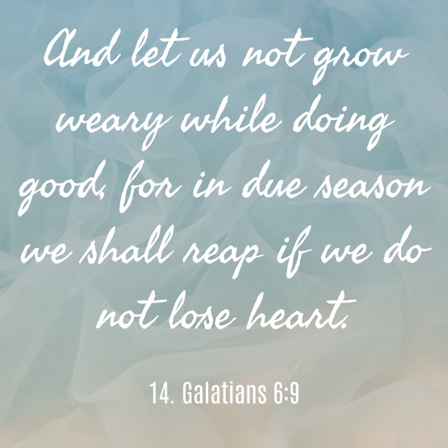 And let us not grow weary while doing good, for in due season we shall reap if we do not lose heart. - 14. Galatians 6:9