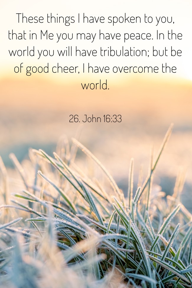 These things I have spoken to you, that in Me you may have peace. In the world you will have tribulation; but be of good cheer, I have overcome the world. - 26. John 16:33