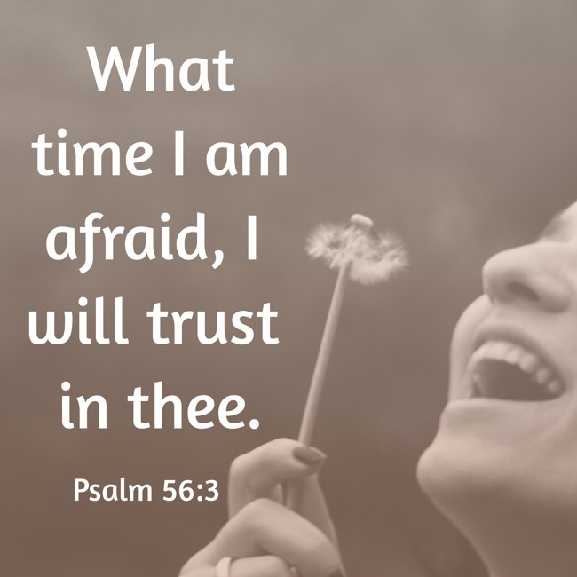 What time I am afraid, I will trust in thee. - Psalm 56:3
