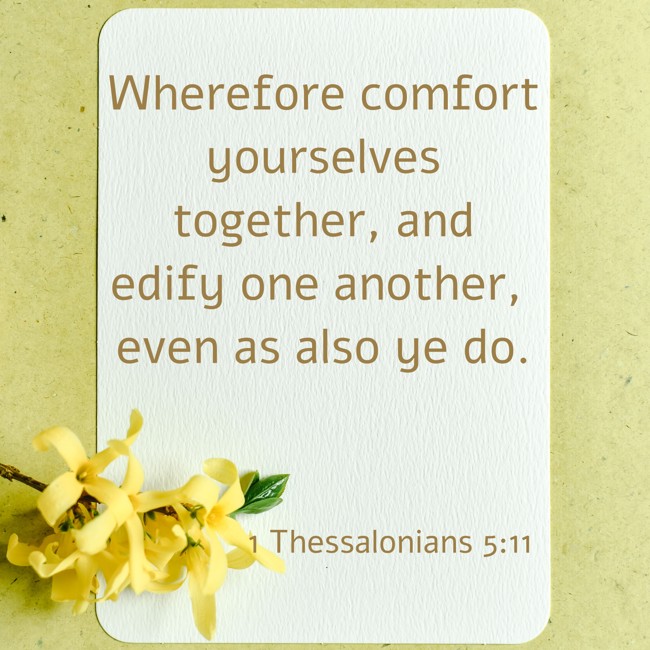 Wherefore comfort yourselves together, and edify one another, even as also ye do. - 1 Thessalonians 5:11