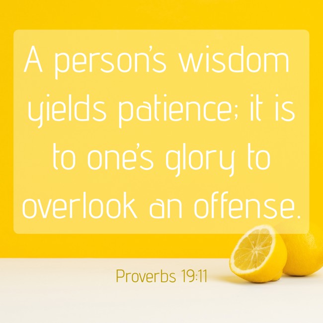 A person’s wisdom yields patience; it is to one’s glory to overlook an offense. - Proverbs 19:11