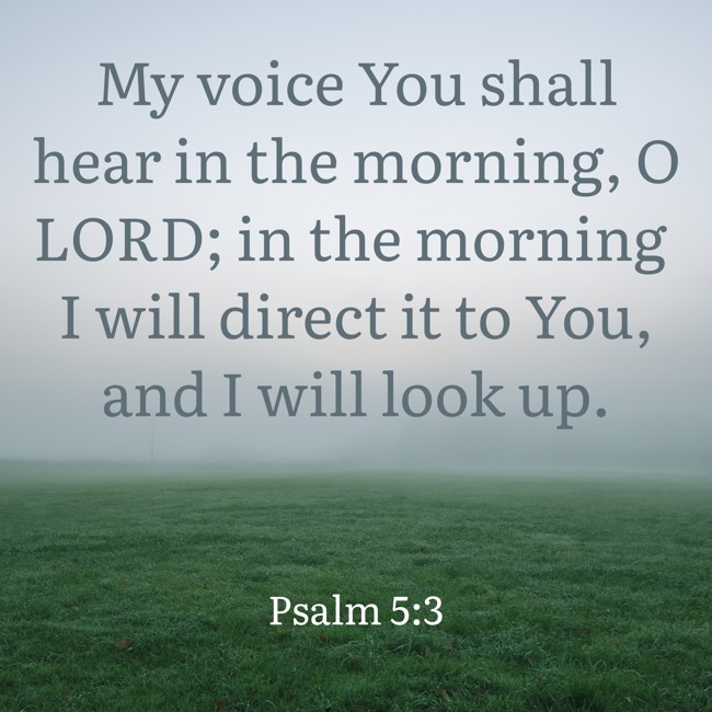 My voice You shall hear in the morning, O LORD; in the morning I will direct it to You, and I will look up. - Psalm 5:3