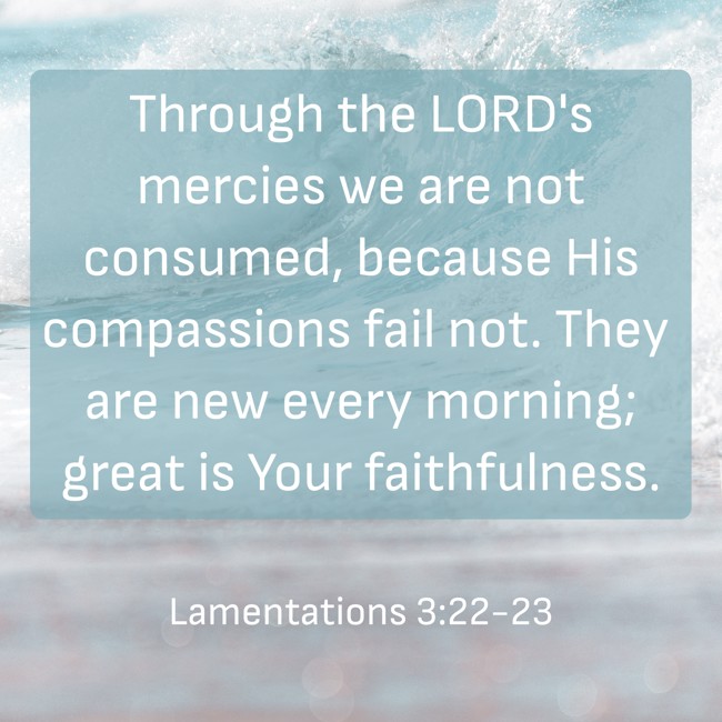 Through the LORD's mercies we are not consumed, because His compassions fail not. They are new every morning; great is Your faithfulness. - Lamentations 3:22-23
