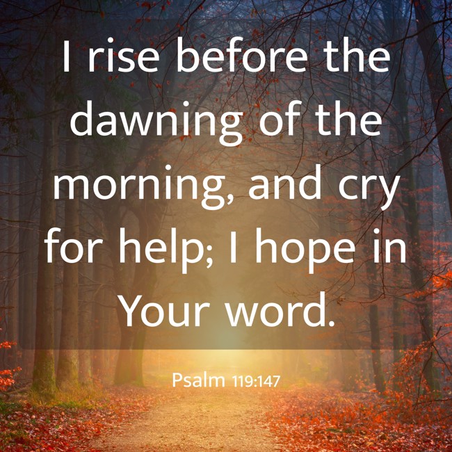 I rise before the dawning of the morning, and cry for help; I hope in Your word. - Psalm 119:147