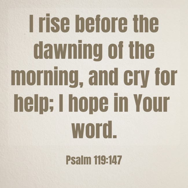 I rise before the dawning of the morning, and cry for help; I hope in Your word. - Psalm 119:147
