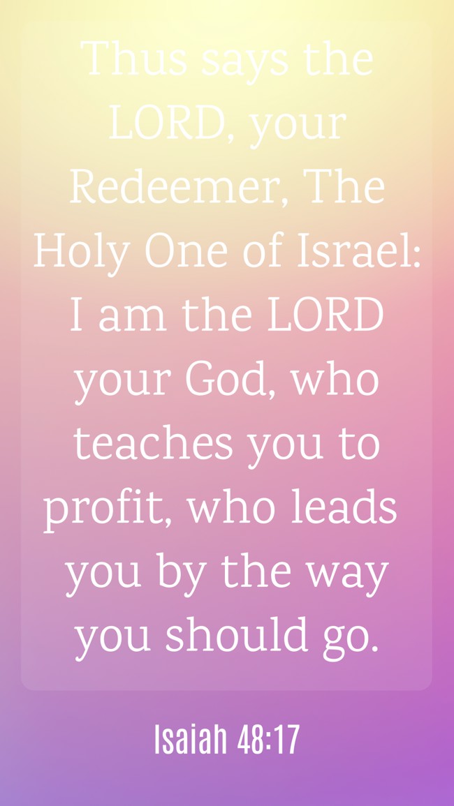 Thus says the LORD, your Redeemer, The Holy One of Israel: I am the LORD your God, who teaches you to profit, who leads you by the way you should go. - Isaiah 48:17
