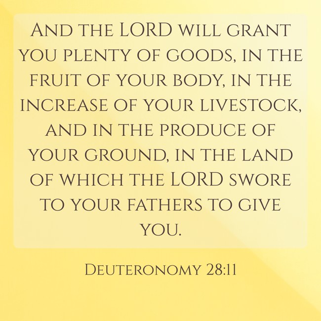 And the LORD will grant you plenty of goods, in the fruit of your body, in the increase of your livestock, and in the produce of your ground, in the land of which the LORD swore to your fathers to give you. - Deuteronomy 28:11