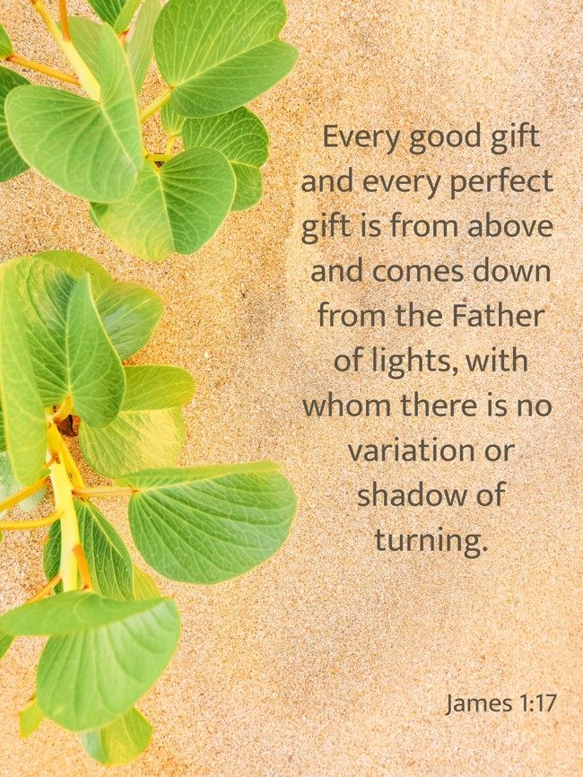 Every good gift and every perfect gift is from above and comes down from the Father of lights, with whom there is no variation or shadow of turning. - James 1:17