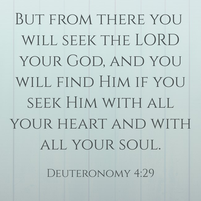 But from there you will seek the LORD your God, and you will find Him if you seek Him with all your heart and with all your soul. - Deuteronomy 4:29