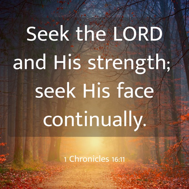 Seek the LORD and His strength; seek His face continually. - 1 Chronicles 16:11