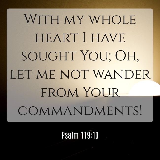 With my whole heart I have sought You; Oh, let me not wander from Your commandments! - Psalm 119:10