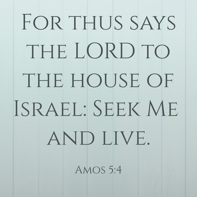 For thus says the LORD to the house of Israel: Seek Me and live. - Amos 5:4